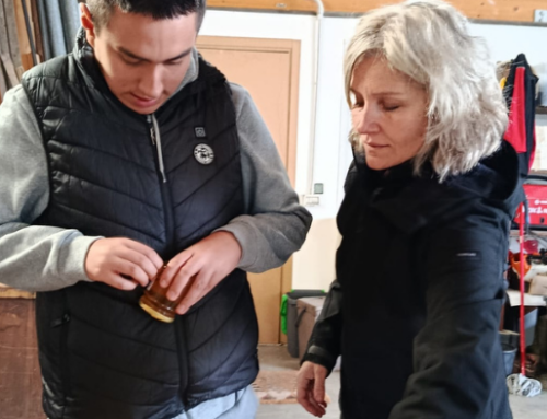 La Bottega de Gigli: la storia del nostro miele